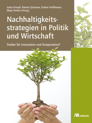 cover image of Nachhaltigkeitsstrategien in Politik und Wirtschaft